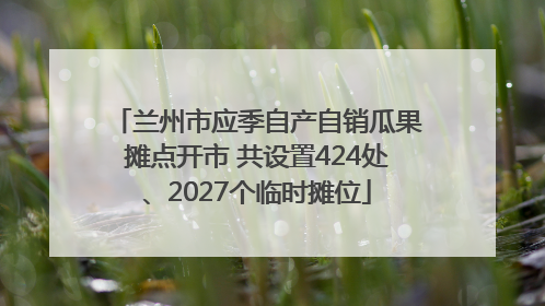 兰州市应季自产自销瓜果摊点开市 共设置424处、2027个临时摊位