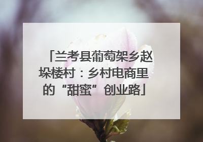 兰考县葡萄架乡赵垛楼村：乡村电商里的“甜蜜”创业路