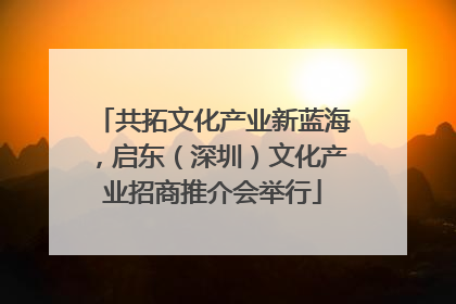 共拓文化产业新蓝海，启东（深圳）文化产业招商推介会举行