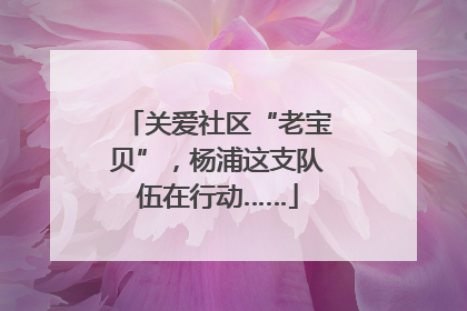 关爱社区“老宝贝”，杨浦这支队伍在行动……