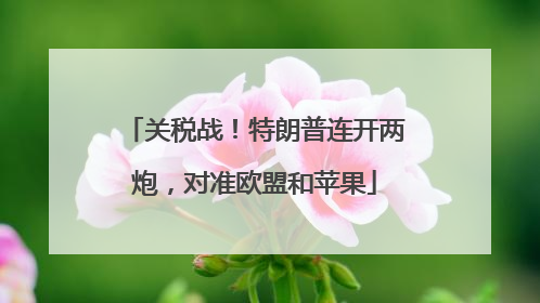 关税战！特朗普连开两炮，对准欧盟和苹果