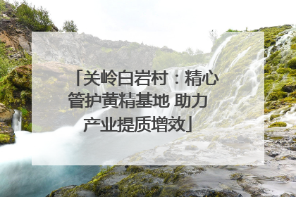 关岭白岩村：精心管护黄精基地 助力产业提质增效