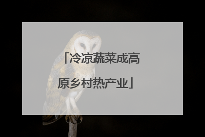 冷凉蔬菜成高原乡村热产业