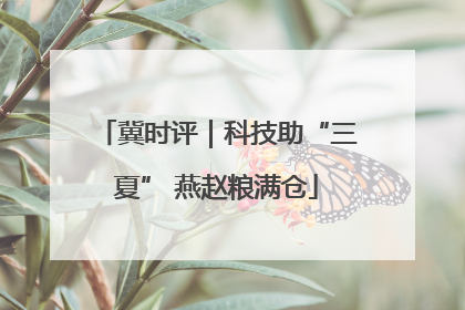冀时评｜科技助“三夏” 燕赵粮满仓