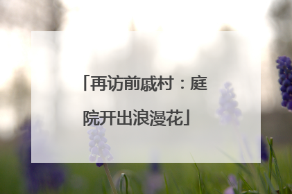 再访前戚村：庭院开出浪漫花