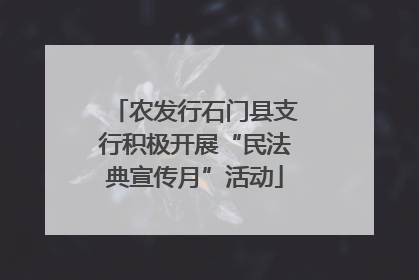 农发行石门县支行积极开展“民法典宣传月”活动