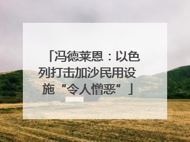 冯德莱恩：以色列打击加沙民用设施“令人憎恶”