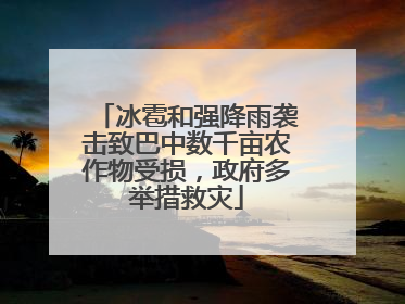 冰雹和强降雨袭击致巴中数千亩农作物受损，政府多举措救灾