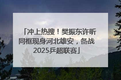 冲上热搜！樊振东许昕同框现身河北雄安，备战2025乒超联赛