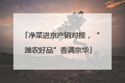 净菜进京产销对接，“潍农好品”香满京华