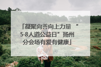 凝聚向善向上力量 “5·8人道公益日”扬州分会场有爱有健康