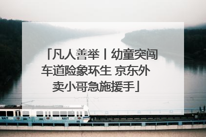 凡人善举丨幼童突闯车道险象环生 京东外卖小哥急施援手