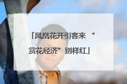 凤凰花开引客来 “赏花经济”别样红
