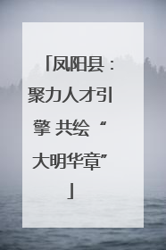 凤阳县：聚力人才引擎 共绘“大明华章”