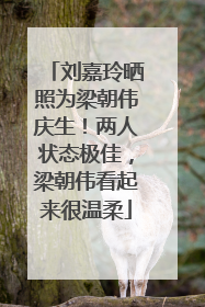刘嘉玲晒照为梁朝伟庆生！两人状态极佳，梁朝伟看起来很温柔