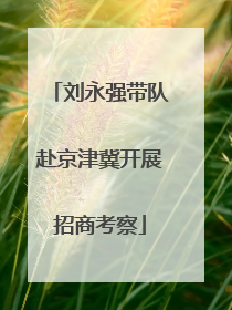 刘永强带队赴京津冀开展招商考察