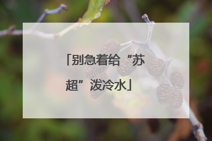 别急着给“苏超”泼冷水