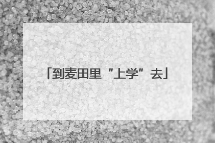到麦田里“上学”去
