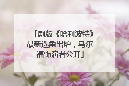 剧版《哈利波特》最新选角出炉，马尔福饰演者公开