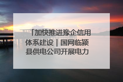 加快推进豫企信用体系建设｜国网临颍县供电公司开展电力行业信用企业现场咨询访谈工作