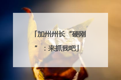 加州州长“硬刚”：来抓我吧