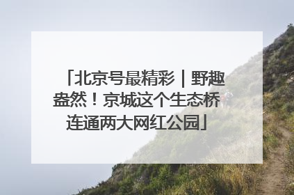 北京号最精彩｜野趣盎然！京城这个生态桥连通两大网红公园