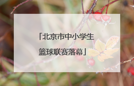 北京市中小学生篮球联赛落幕