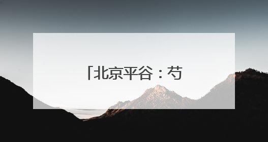 北京平谷：芍药花开迎客来