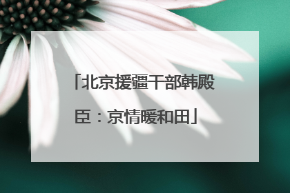北京援疆干部韩殿臣：京情暖和田