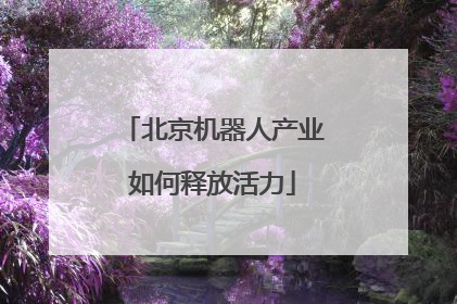 北京机器人产业如何释放活力