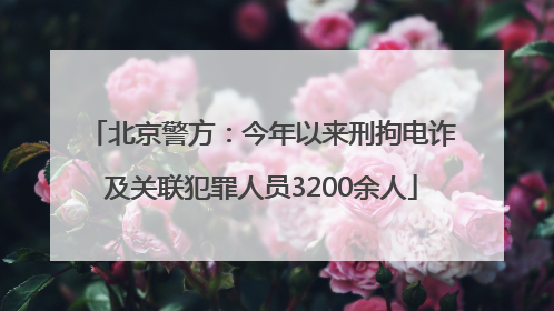 北京警方：今年以来刑拘电诈及关联犯罪人员3200余人