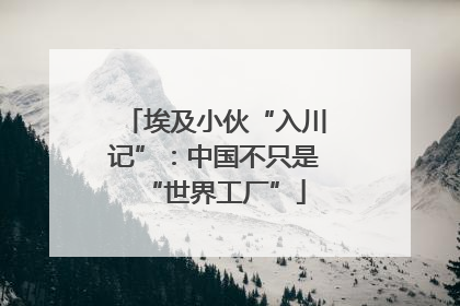 埃及小伙“入川记”：中国不只是“世界工厂”