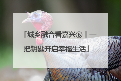 城乡融合看嘉兴⑥丨一把钥匙开启幸福生活