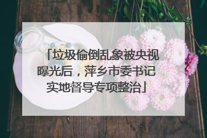 垃圾偷倒乱象被央视曝光后，萍乡市委书记实地督导专项整治