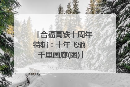 合福高铁十周年特辑：十年飞驰 千里画廊(图)
