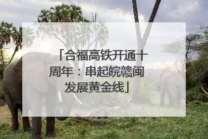 合福高铁开通十周年：串起皖赣闽发展黄金线