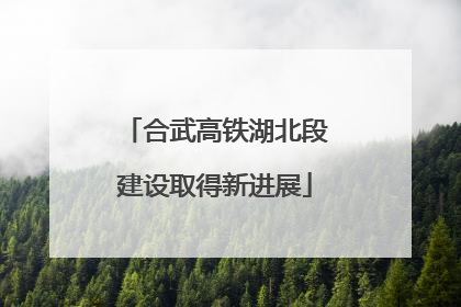 合武高铁湖北段建设取得新进展