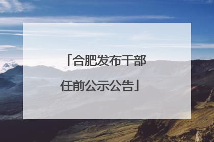 合肥发布干部任前公示公告