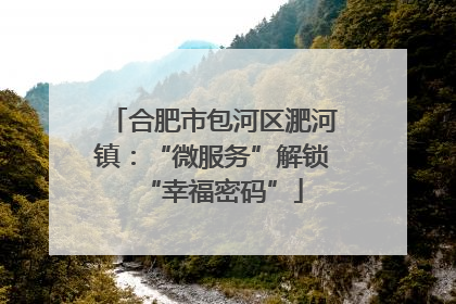 合肥市包河区淝河镇：“微服务”解锁“幸福密码”