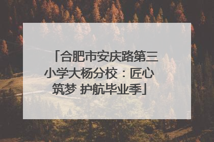 合肥市安庆路第三小学大杨分校：匠心筑梦 护航毕业季