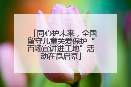 同心护未来，全国留守儿童关爱保护“百场宣讲进工地”活动在昆启幕