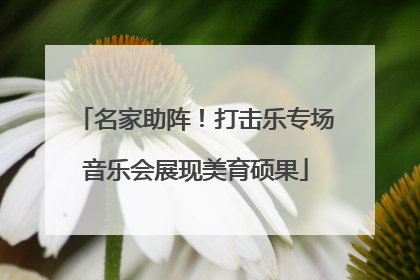 名家助阵！打击乐专场音乐会展现美育硕果