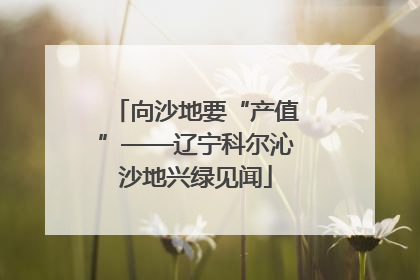 向沙地要“产值”——辽宁科尔沁沙地兴绿见闻