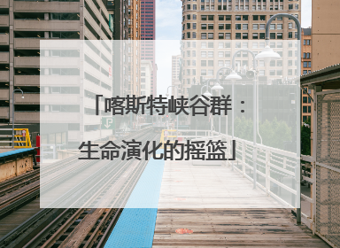 喀斯特峡谷群：生命演化的摇篮