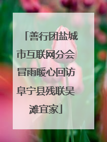 善行团盐城市互联网分会冒雨暖心回访阜宁县残联吴滩宜家