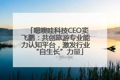 嗯噢哇科技CEO窦飞鹏：共创旅游专业能力认知平台，激发行业“自生长”力量