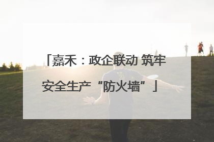 嘉禾：政企联动 筑牢安全生产“防火墙”