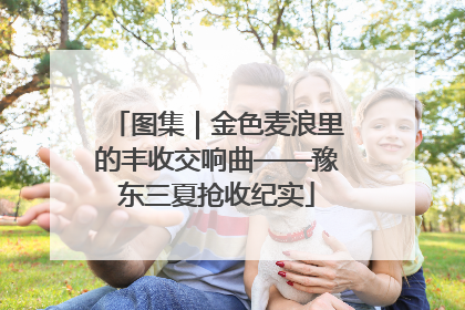 图集｜金色麦浪里的丰收交响曲——豫东三夏抢收纪实