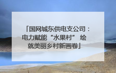 国网城东供电支公司：电力赋能“水果村” 绘就美丽乡村新画卷