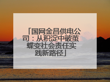 国网金昌供电公司：从积淀中破茧 蝶变社会责任实践新路径